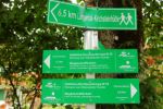 2014-07-05_Laengental-N-Hochweg (143). JPG